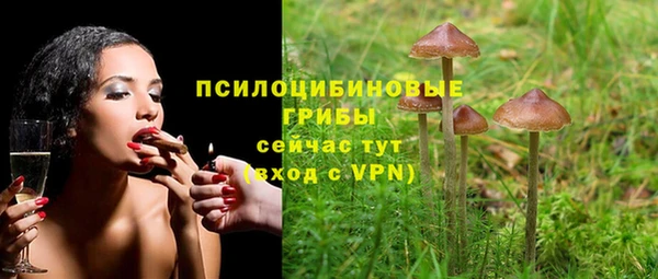 эйфоретик Михайлов