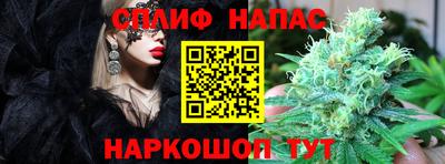 амф Донской