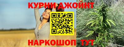 бошки Дубна